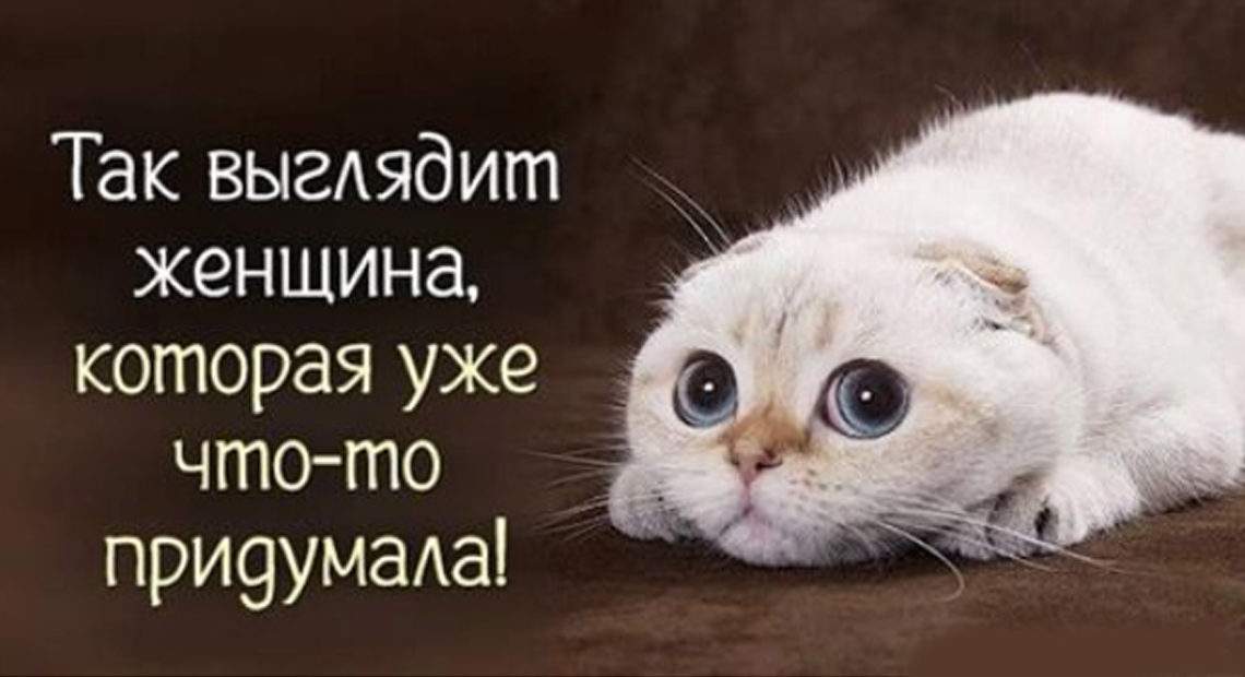 Так выглядит женщина которая уже что то придумала картинки