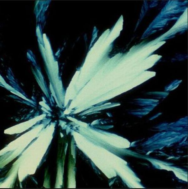 Алкоголь под микроскопом алкоголь,интереснное,микрофотографии