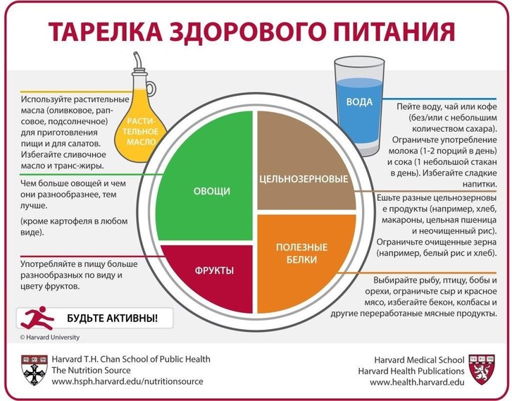 Ешь как животное: что такое интуитивное питание и чем оно может быть полезно интуитивное, питание, чтобы, можно, питания, организм, всегда, когда, который, интуитивного, количество, сладкое, Например, которые, Ольга, никак, приводит, диких, белков, жиров