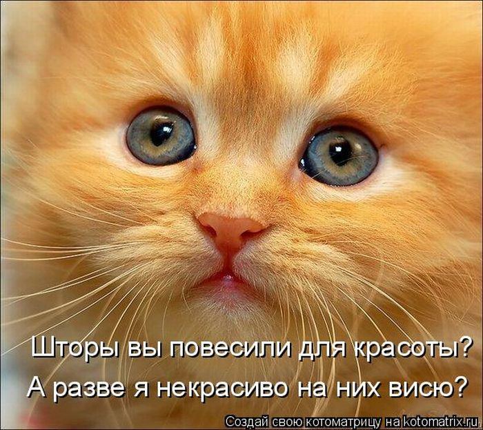 Мысли вслух :)