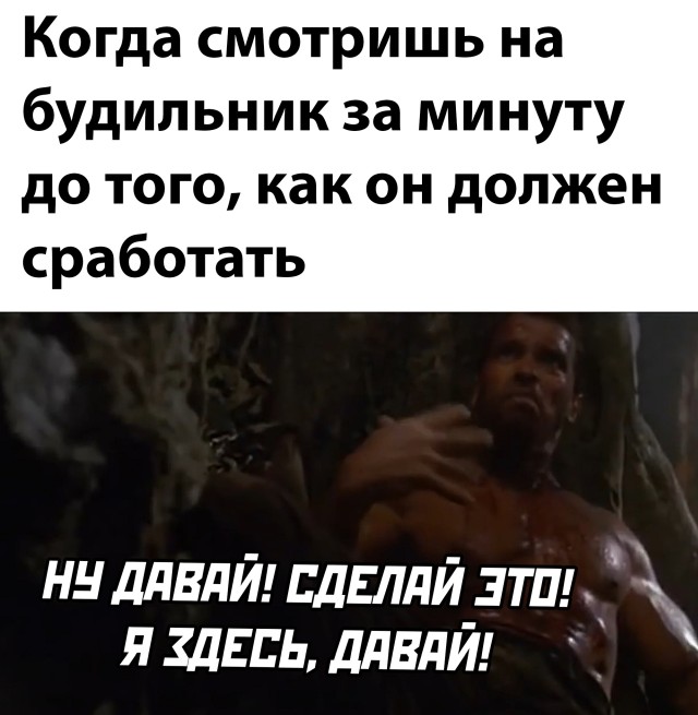 Подборка картинок. Вечерний выпуск Подборка картинок. Вечерний выпуск приколы,смешные картинки,юмор