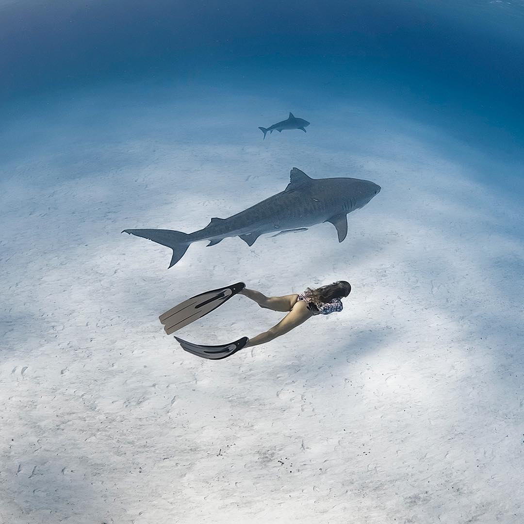 Красивые подводные снимки Джейсона Вашингтона интересное,подводная фотография,фотография