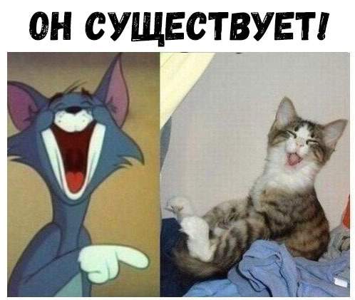 Солянка юмора из сети №6