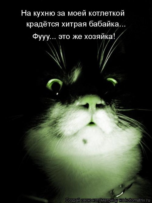 Новая котоматрица Новая котоматрица