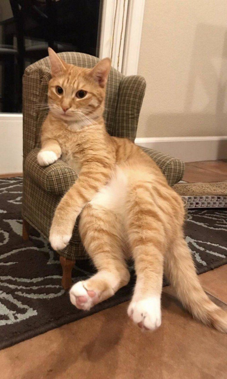 Странное, необычное и смешное... девушки