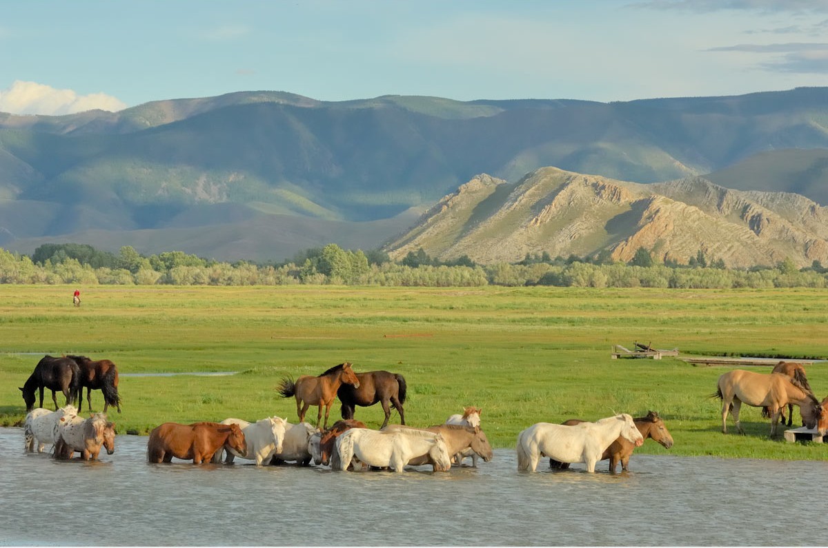 Непостижимая Монголия на снимках Марка Прогина Азия,Монголия,тревел-фото