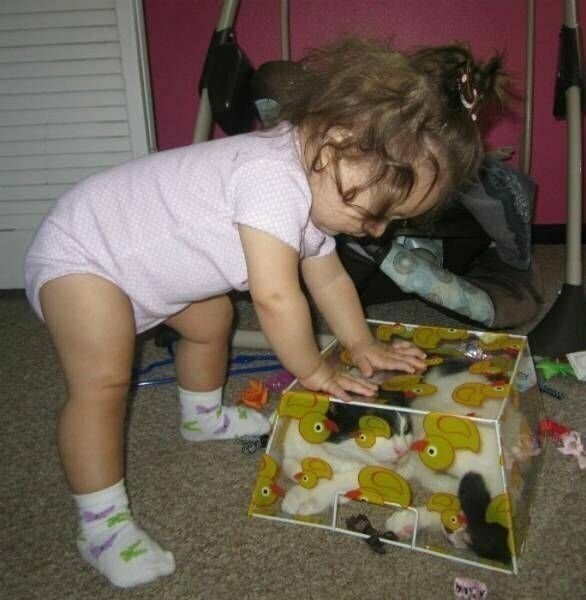 О дружбе О дружбе