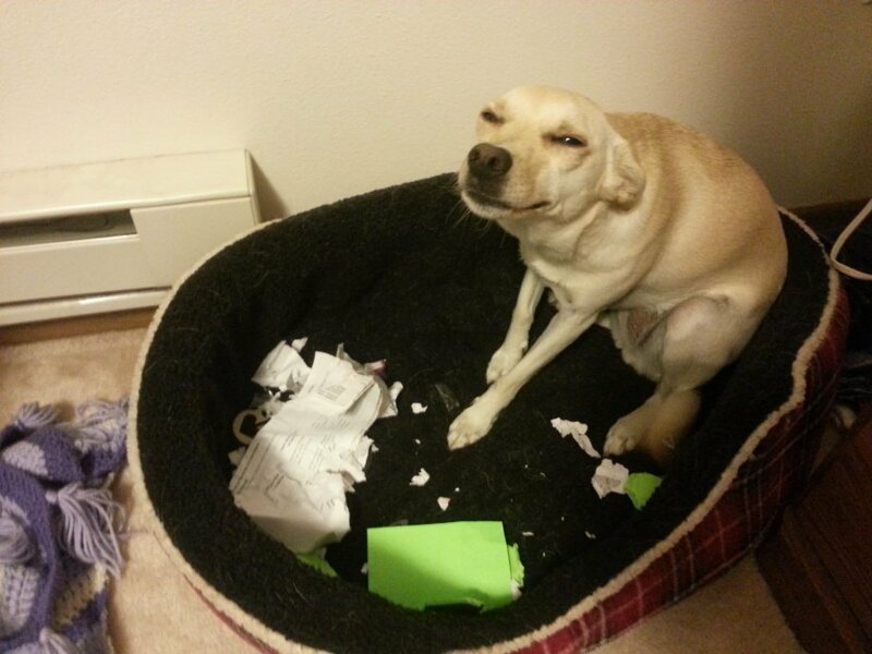 И тут я понял, что мне все равно никто не поверит И тут я понял, что мне все равно никто не поверит