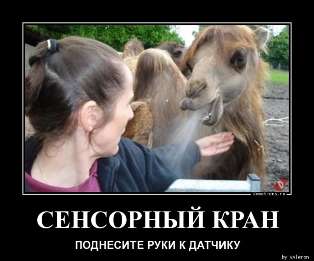 Демотиваторы — приколы для всех и для каждого: «За каждым великим мужчиной…»  