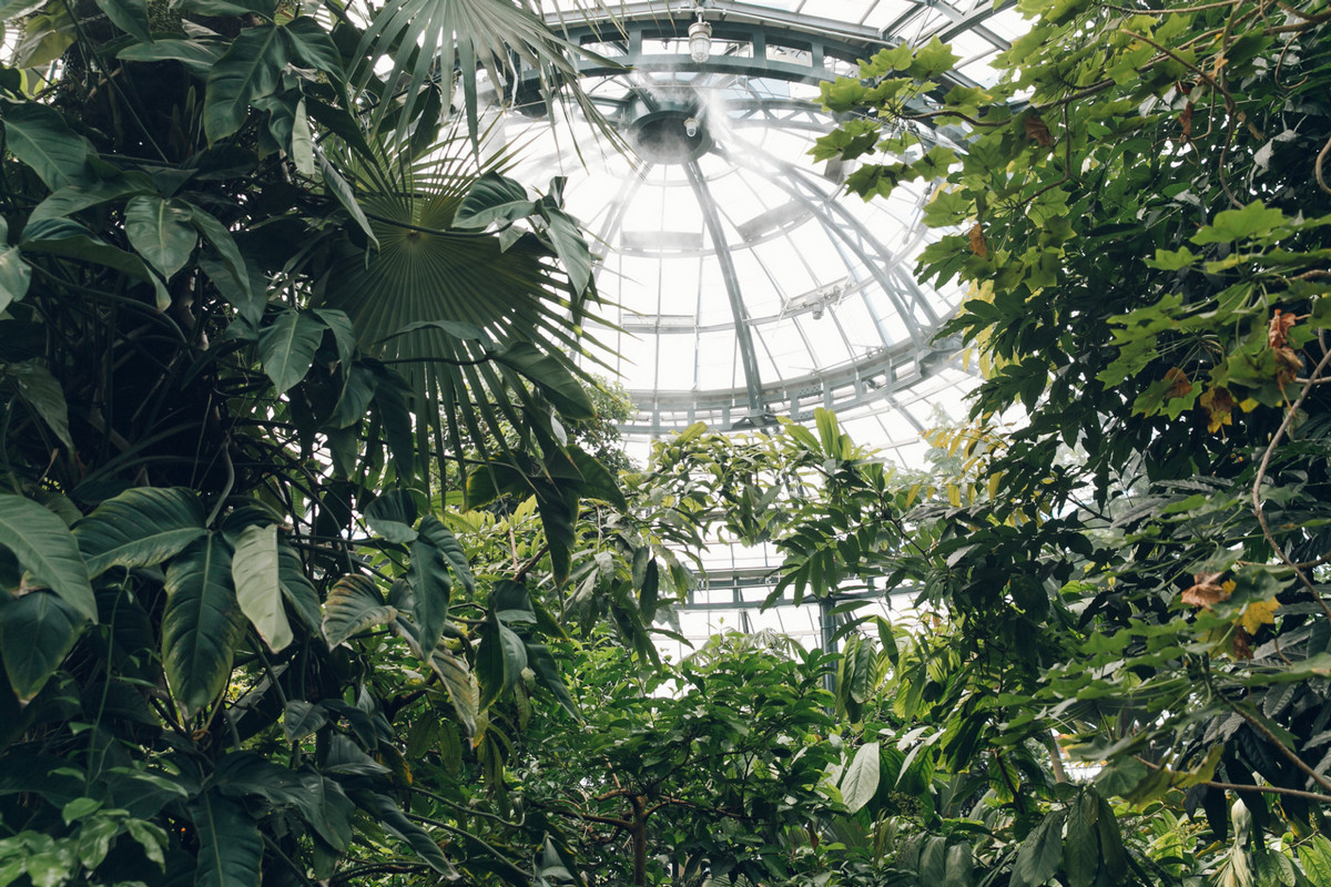 «Дуэт фотографов путешествует по миру, снимая ботанические сады, оранжереи и теплицы 6