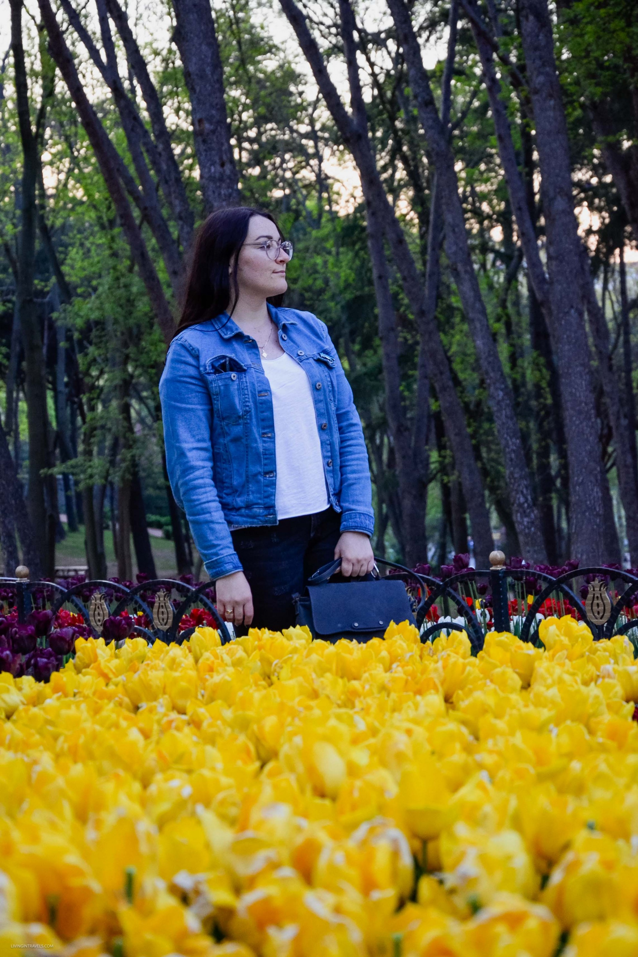 10 причин почему я не люблю Стамбул 10 причин почему я не люблю Стамбул страны,туризм