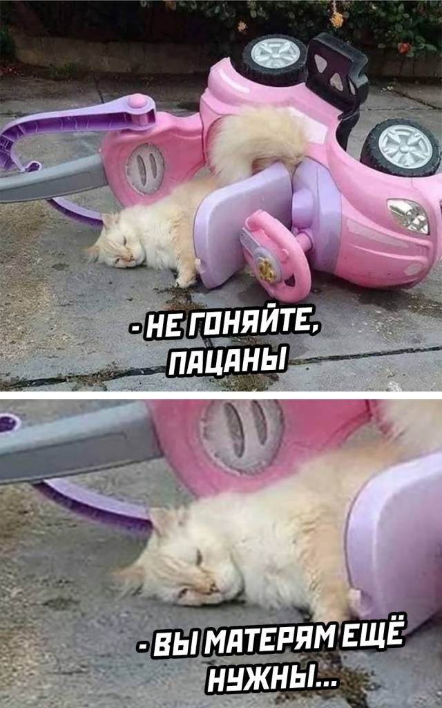 Подборка прикольных картинок  приколы,смешные картинки,юмор