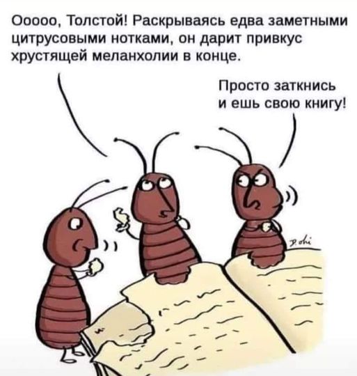 Юмор из интернета 646