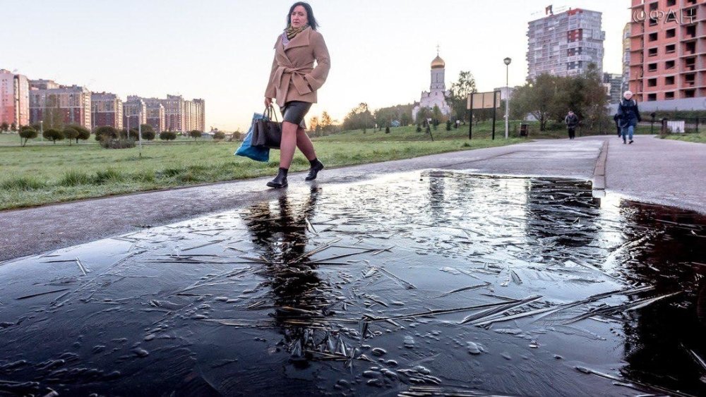 Заморозки в Петербурге: ФАН публикует фото утреннего города