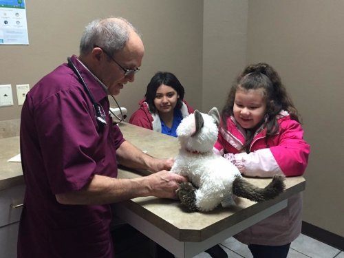 В ветеринарной клинике маленькой девочке помогли вылечить ее любимую плюшевую кошку-игрушку 