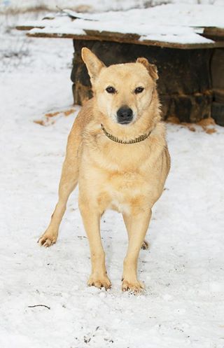 Фото Валентины Агаты.