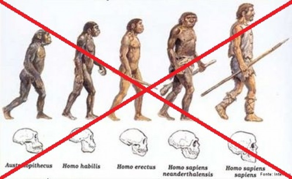 Виды людей homo. Эволюция человека хомо сапиенс. Хомо сапиенс и неандерталец разница. Неандерталец Эволюция. Эволюция современного человека.