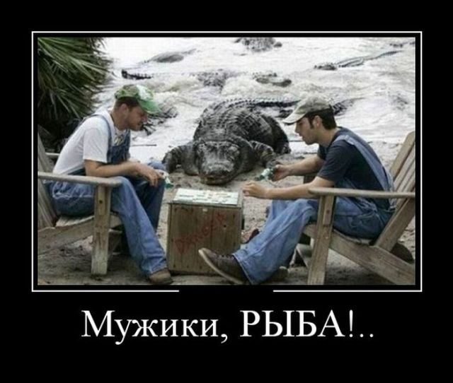 Подборка смешных и забавных демотиваторов для улыбки Подборка смешных и забавных демотиваторов для улыбки Смешные демотиваторы