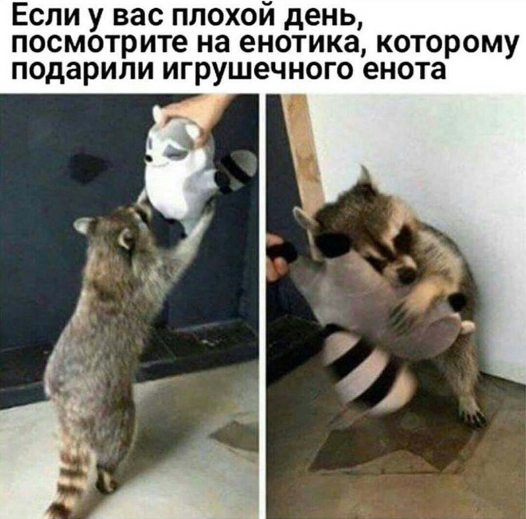 Подборка веселых картинок и ярких фотографий с надписями 