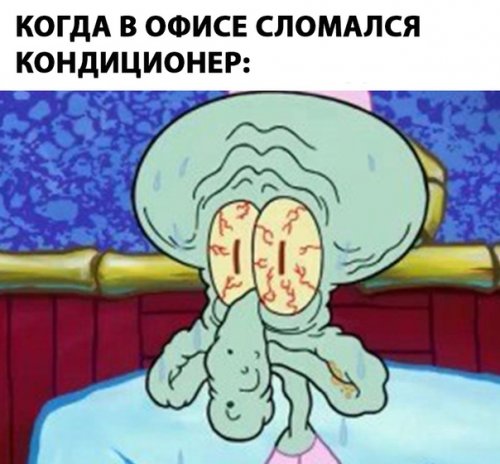 Весёлые пятничные анекдоты (17 шт)