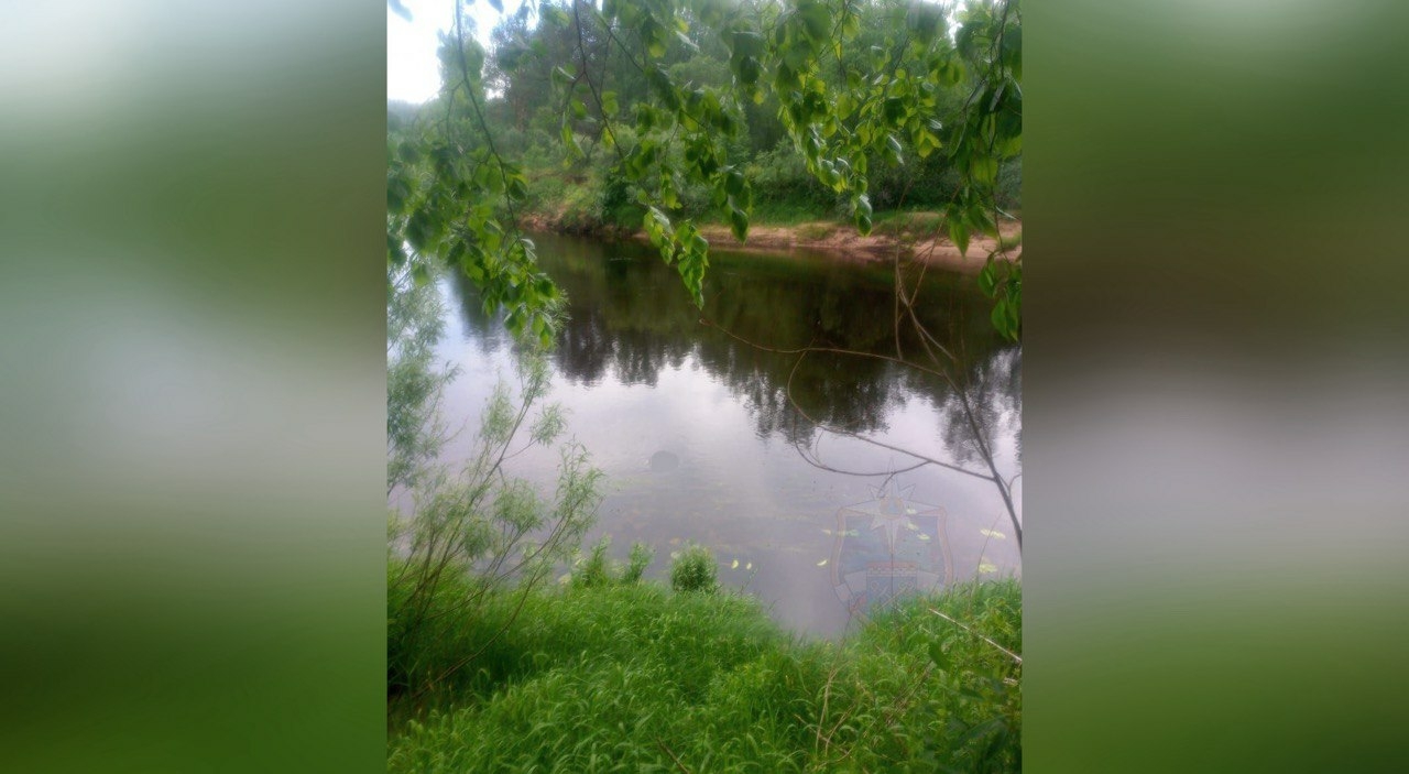 Поисковые работы закончены: в реке Луга нашли тело женщины