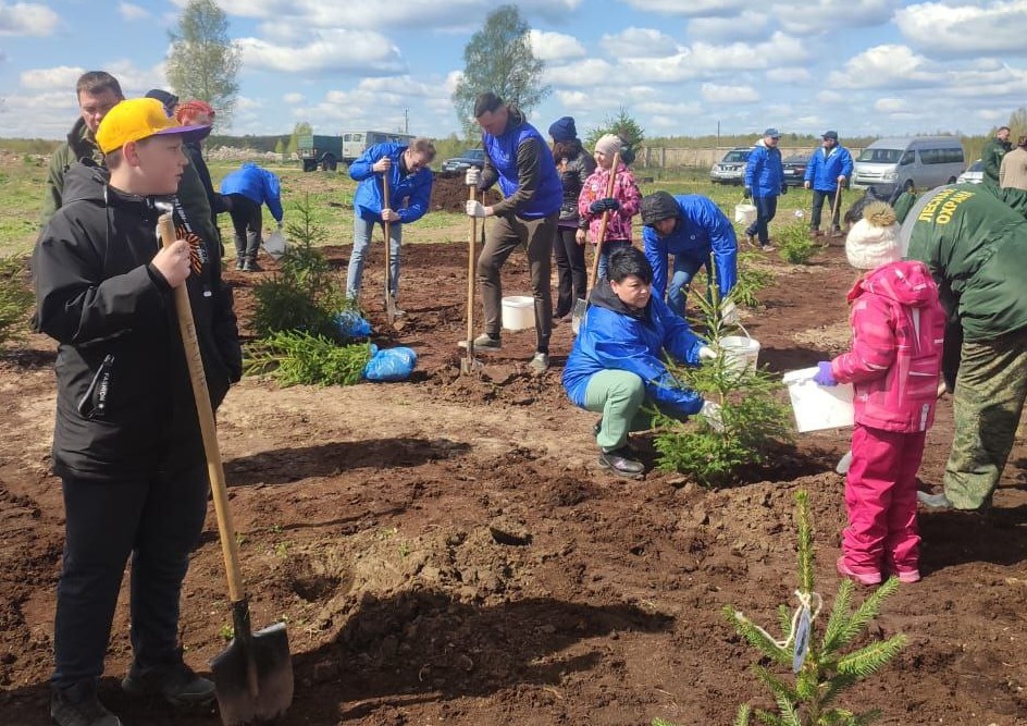 Больше 2,5 миллиона саженцев высадили в Тверской области благодаря акции «Сад памяти»