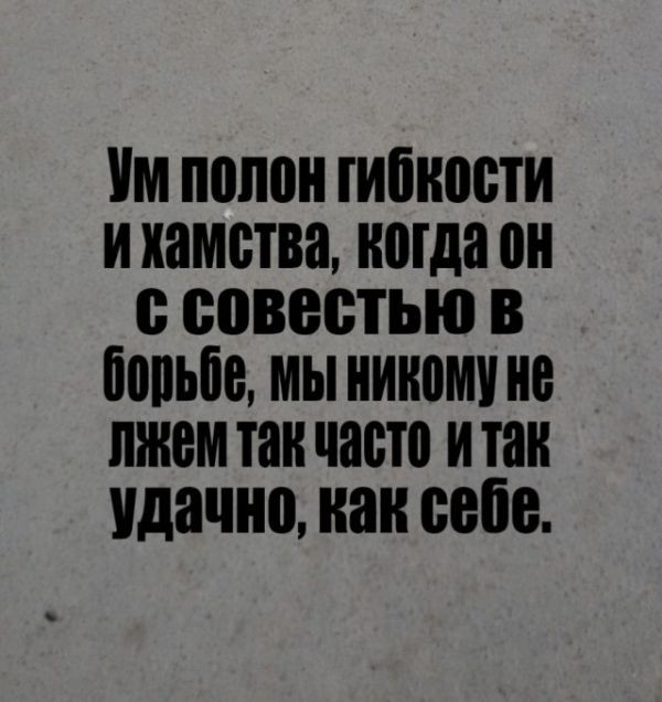 Подборка прикольных фото  (101 фото)