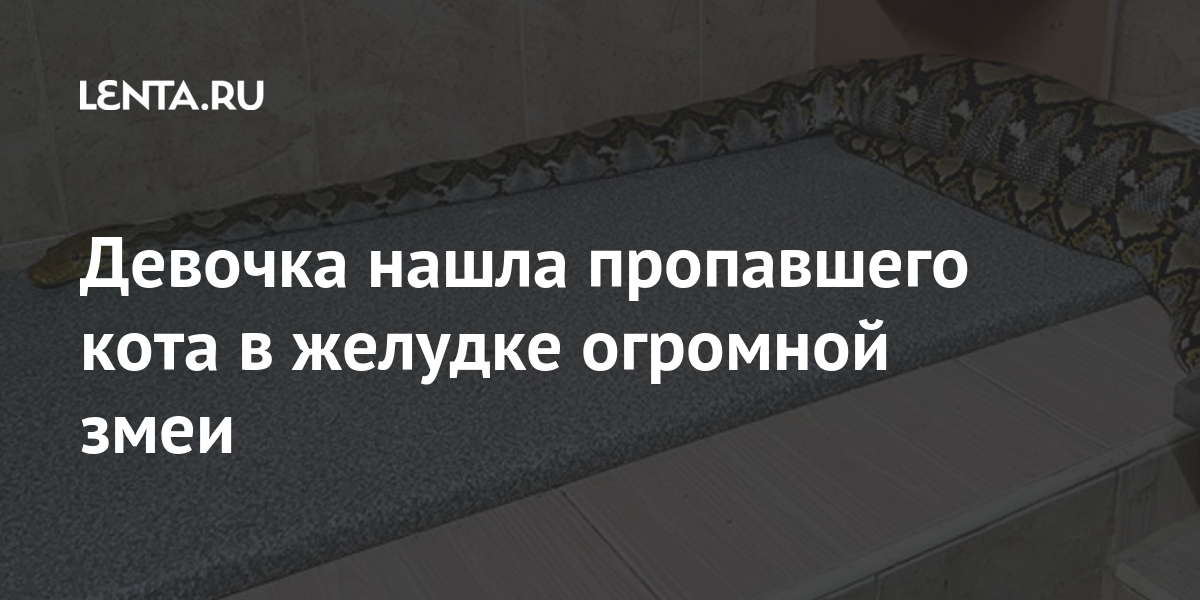 Девочка нашла пропавшего кота в желудке огромной змеи питомца, Хозяйка, тысяч, семье, предложил, комментаторов, матери, девочки, потере, соболезновали, Пользователи, поделились, бесплатноНард, комментариев, тысячи, набрал, вирусным, дочериПост, любимого, утраты