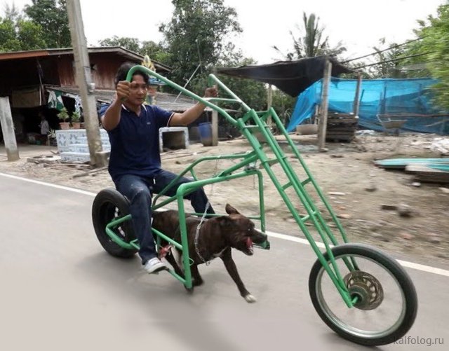 Сегодня – день рождения первого мотоцикла  Марки и модели,мотоциклы,юмор