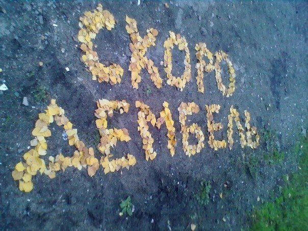 Дембеля делятся опытом с будущими дембелятами 