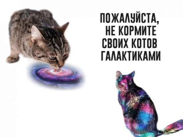 Странный юмор из социальных сетей прикольные картинки