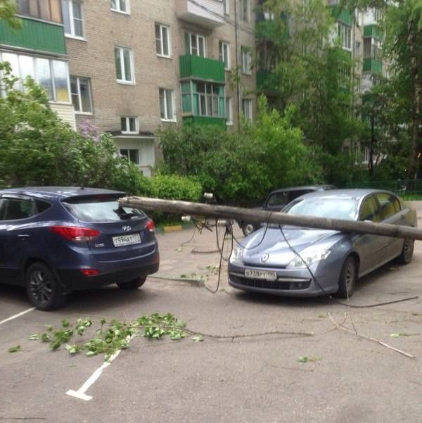 Прикольные и веселые картинки для хорошего настроения