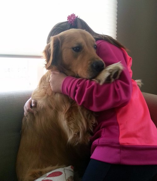 20 драматических фотографий с собаками, которых привезли к ветеринару 