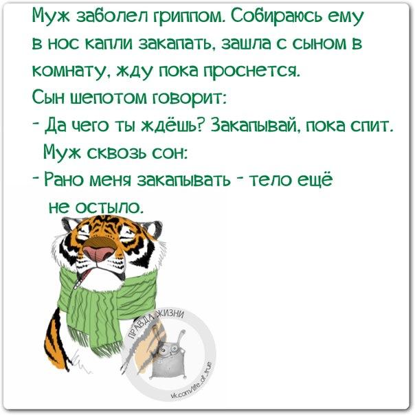 Прикольные фразочки в картинках =) 