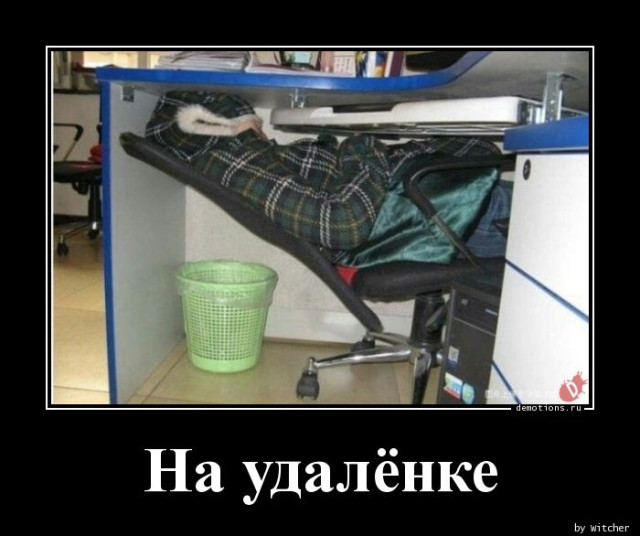 Демотиваторов пост: «Встретив медведя в лесу…» 