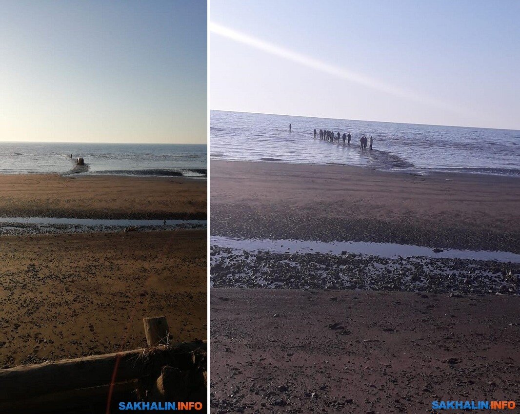 Источник: https://sakhalin.info/news/187831