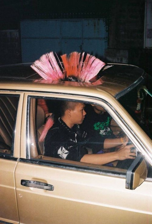 Новые прикольные картинки и фото Новые прикольные картинки и фото