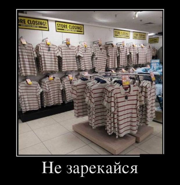 Веселые и забавные демотиваторы для хорошего настроения (11 фото)