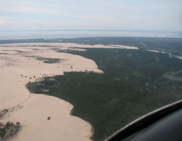 Песчаные дюны в канадской тайге (http://www/loverme.ru)
