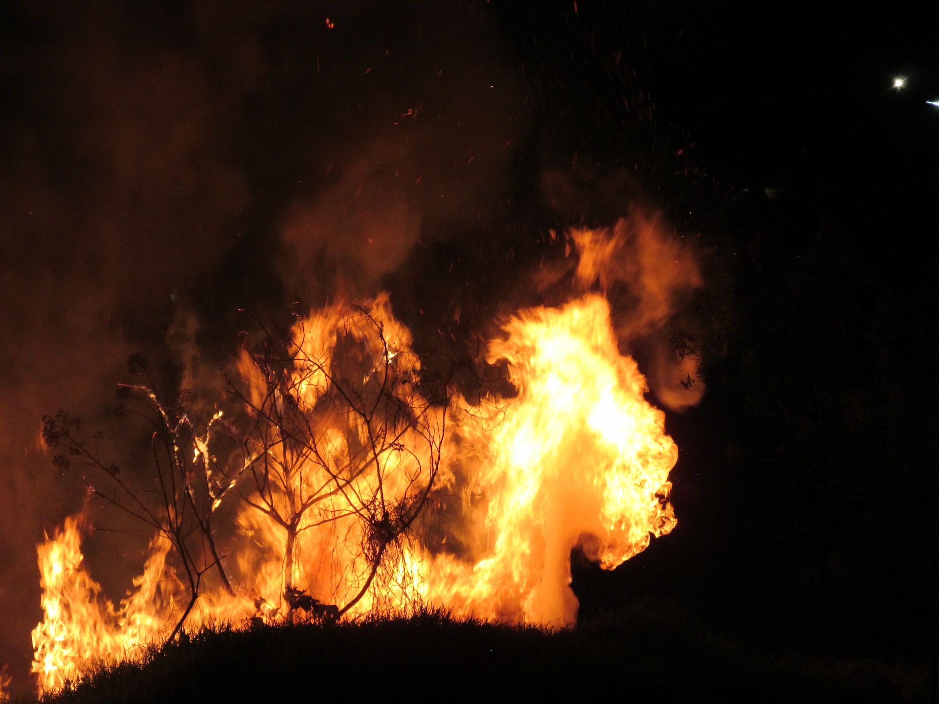В Еврейской автономной области установили антирекорд по лесным пожарам