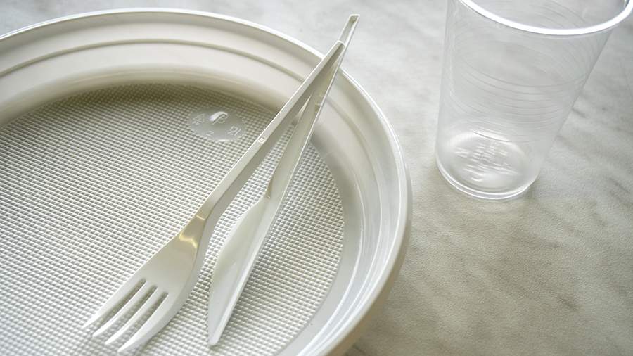 В ГД объяснили цель проекта о запрете продажи пластиковой посуды на Байкале