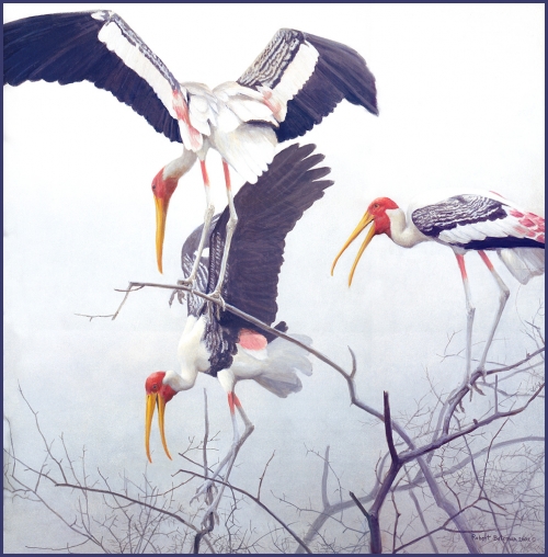 Художник Роберт Бейтман | Robert Bateman (363 работ)