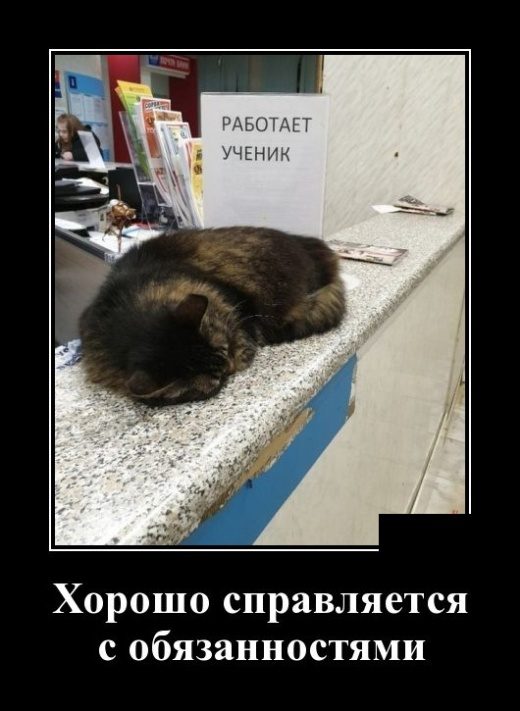 Самые улётные демотиваторы дня 