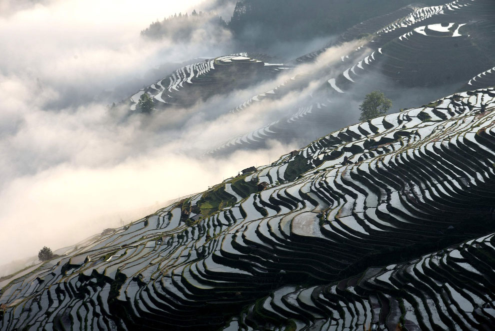 Путешествие в провинцию Гуйчжоу Costfoto, China, террасы, Group, Visual, Рисовые, Китая, метров, радиотелескоп, апертурой, Гуйян, городе, уезде, югозападе, Гуйчжоу, Трансформер, Цюаньху, объектов, список, занесены