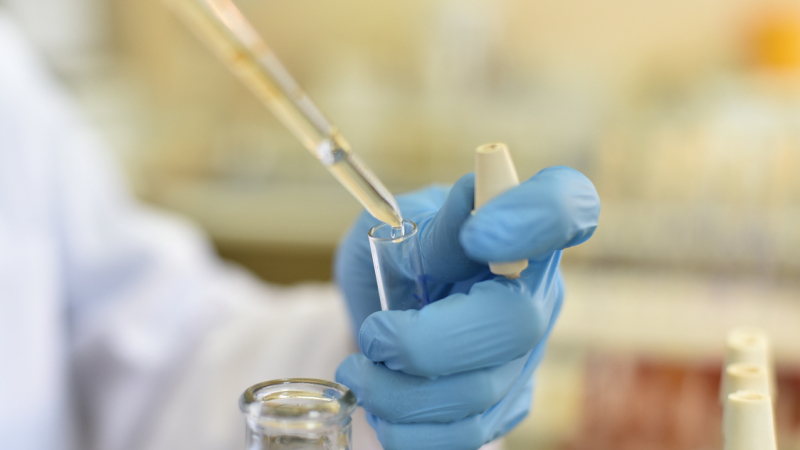 Коронавирус в Калининграде унес жизни пяти человек за последние сутки