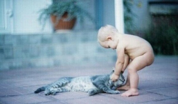 О дружбе О дружбе