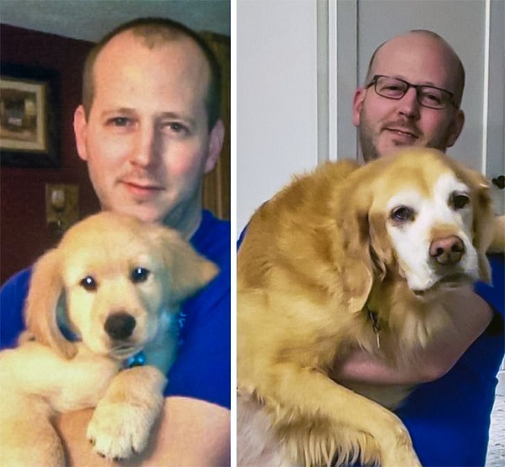 Любителям собакенов: большие собаки созданы для людей с огромным сердцем 