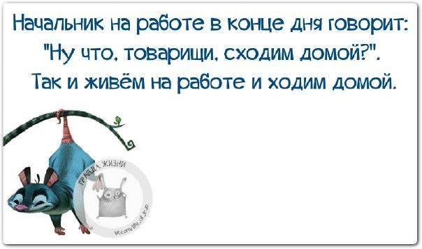 Прикольные фразочки в картинках =) 