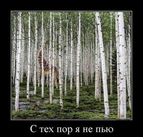 Демотиваторов сборник Демотиваторов сборник