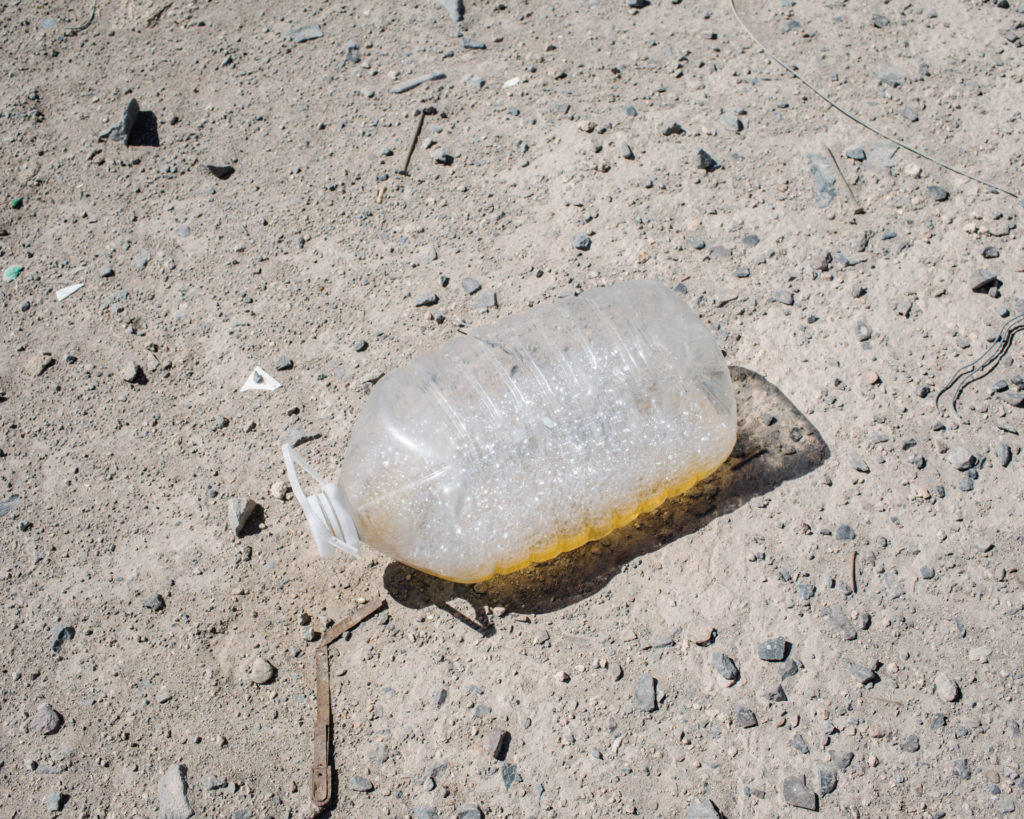 Сухой закон: как последние обитатели пустыни Атакама выживают без «права на воду» Сухой закон: как последние обитатели пустыни Атакама выживают без «права на воду» мир,фотография